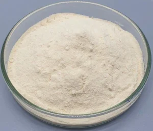 lentil-protein