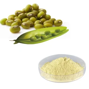 Proteine di fagioli mung